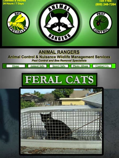 Animal rangers pest control catch cats