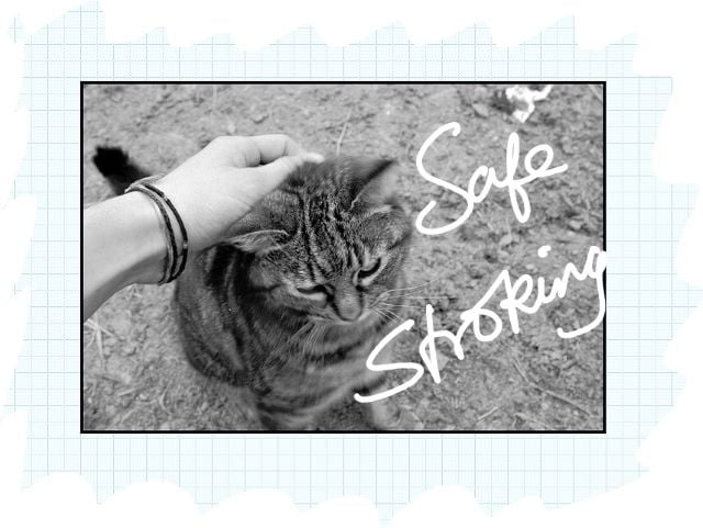 Cats: Safe Stroking