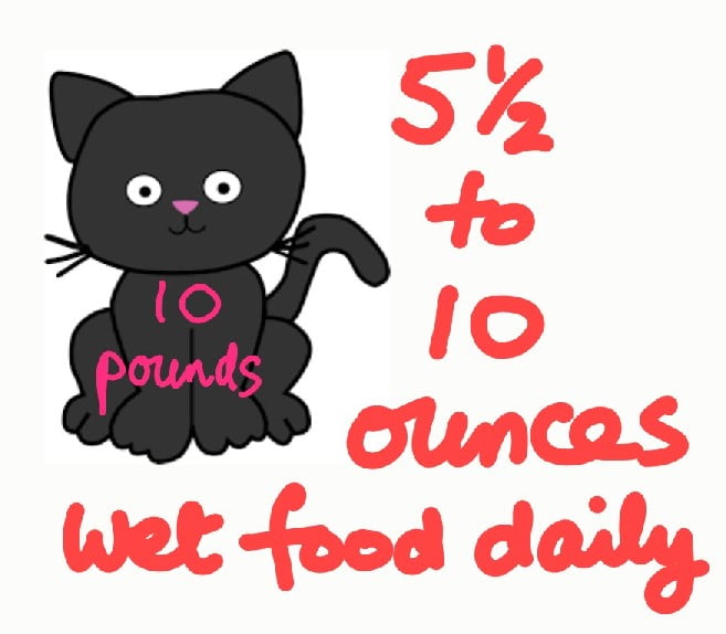 Weight of wet cat food daily
