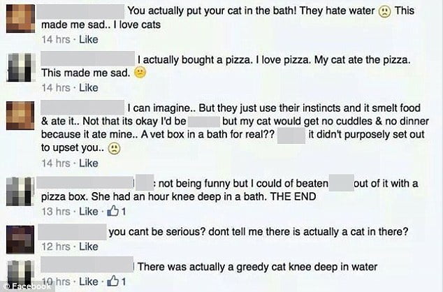 Cat abuse FB comments