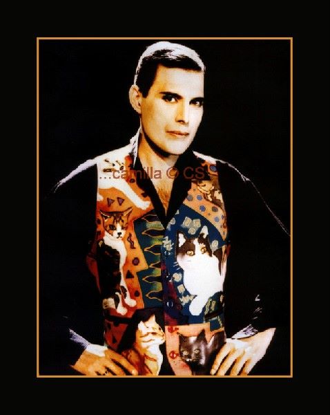 Freddie Mercury with cat waistcoat