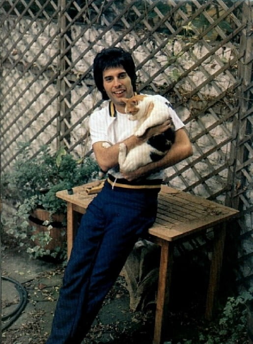 Freddie Mercury's cats