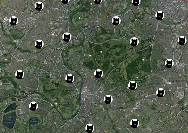 Locating cats through gps info on images