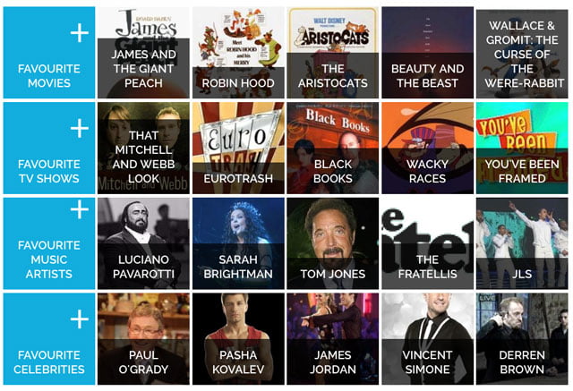 Profile of cat lover in the UK