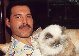 Freddie Mercury loved cats