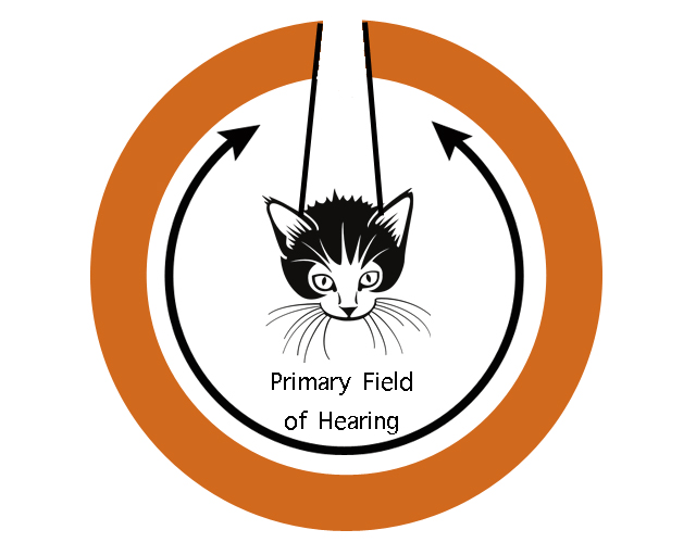 Feline primary field of hearing