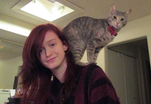 ziggy cat companion