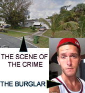 Woman looking for her cats touches burglar under her bed