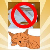 Dryer sheets are toxic to cats