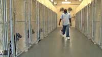 Animal shelter inside a prison
