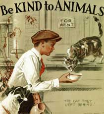 Be Kind to Animals Week