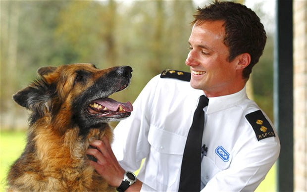 RSPCA staffer with dog