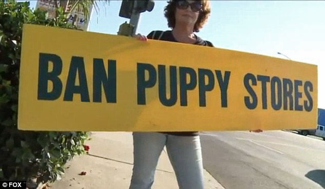 Ban puppy stores