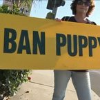Pet shops in Encinitas, California must only sell cats and dogs from shelters