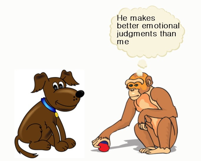 Dog's emotional judgement
