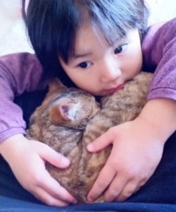 Beauiful bond between young girl and cat