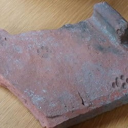 Roman era cat paw print