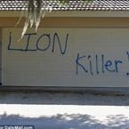 Lion killer