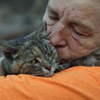 cat survives California wildfire