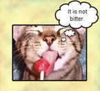 Domestic cats can taste bitterness