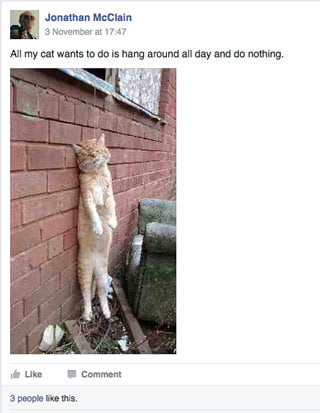 Animal cruelty Facebook page