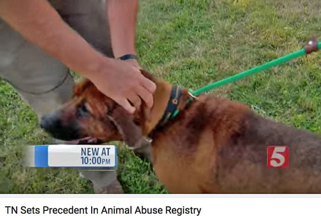 Tennessee animal abuse registry