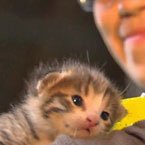 Heather Garcia shift supervisor with her newly adopted kitten.