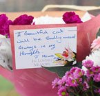Bus stop cat floral tribute