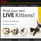 Kodak Live KItten 3D Printer!