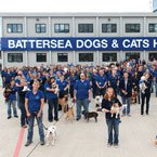 Battersea Dogs and Cats Home
