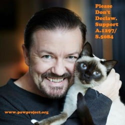 Ricky Gervais supports NY ban on declawing