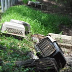 Dead cats in carriers, Madison and surrounding area, USA