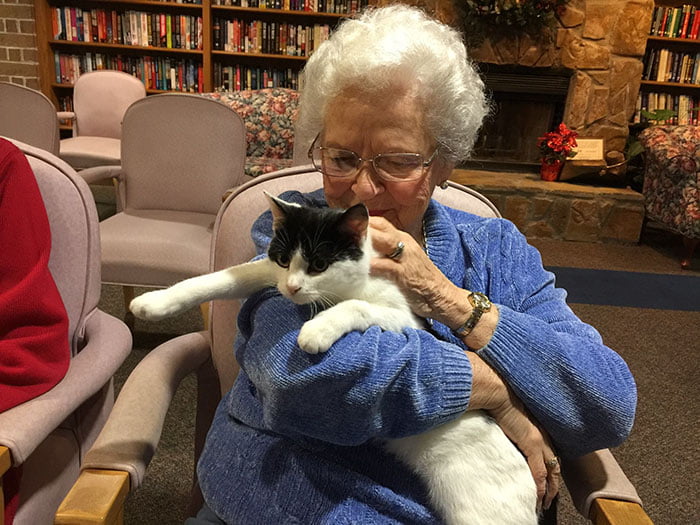 Elderly cats with elderly people