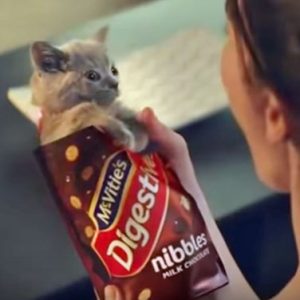 Kittens in advert