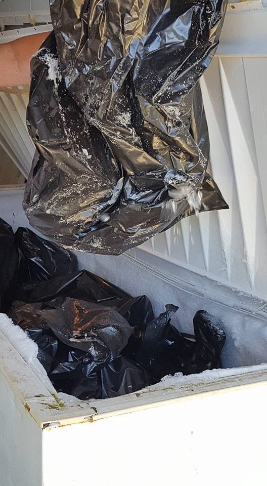 black bags were found in a freezer