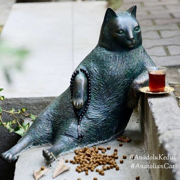 Tombili a celebrated Turkish street cat