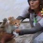 Cat rescue in Italy after quake