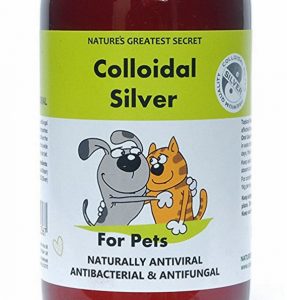 Colloidal silver for pets