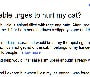 Desire to hurt a cat