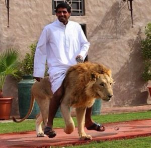 Riding a lion in Dubai
