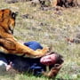Tiger attack at Chinese Zoo