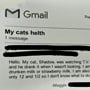 Sweet 12-year-old girl emails veterinarian after her cat drinks strawberry milk
