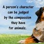 Quote about compassion towards animals