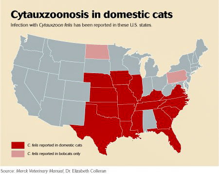 USA Cytauxzoonosis map