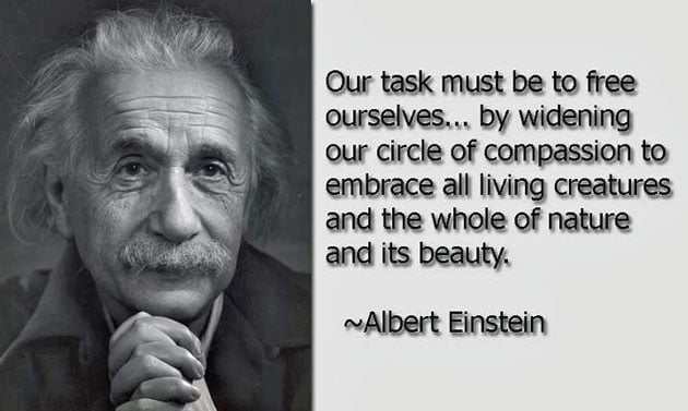 Einstein's quote about compassion