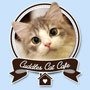 Cuddles Cat Cafe