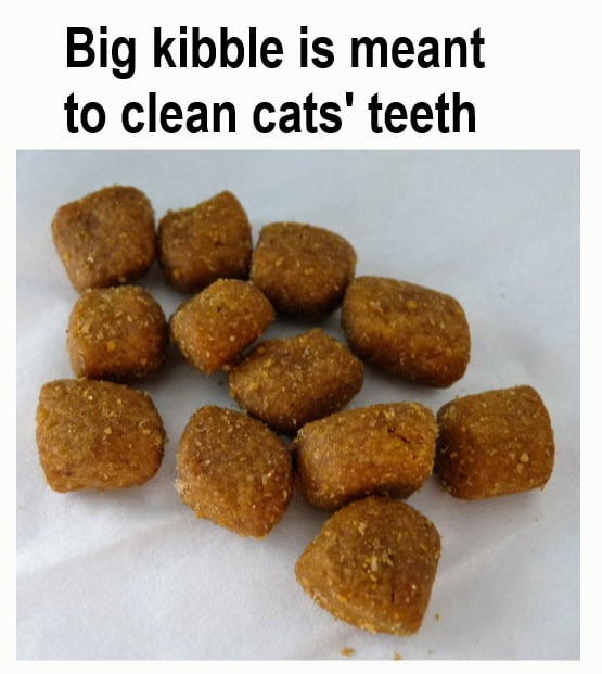 Does dry cat food clean teeth?