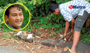 He has buried over 500 cats in 13 years