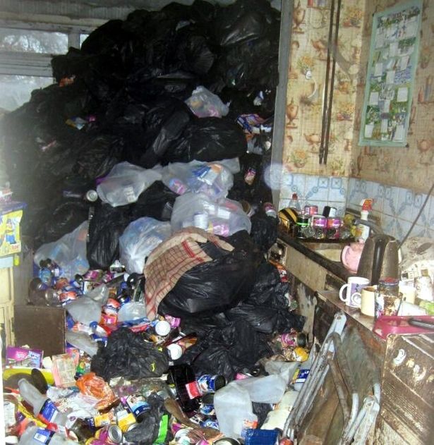 Hoarder accumulated 30 tonnes of rubbish under which 15 rotting cats were found