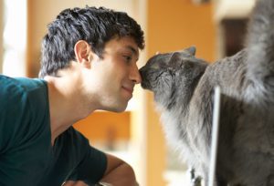 Why do cats touch your face with their nose?